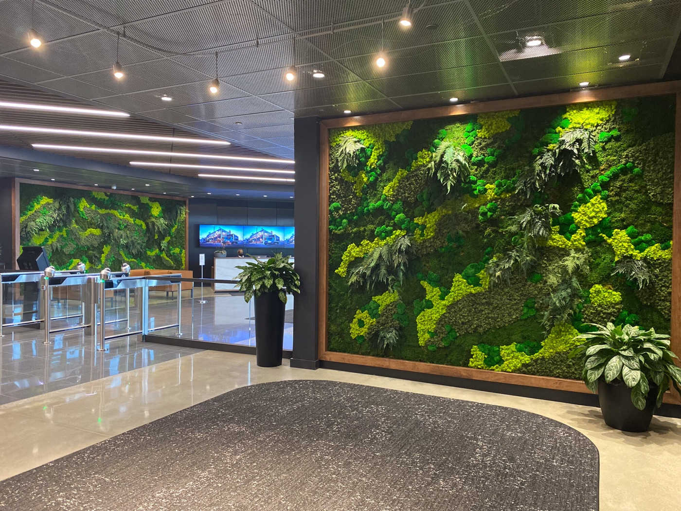 Lobby featuring a living moss wall